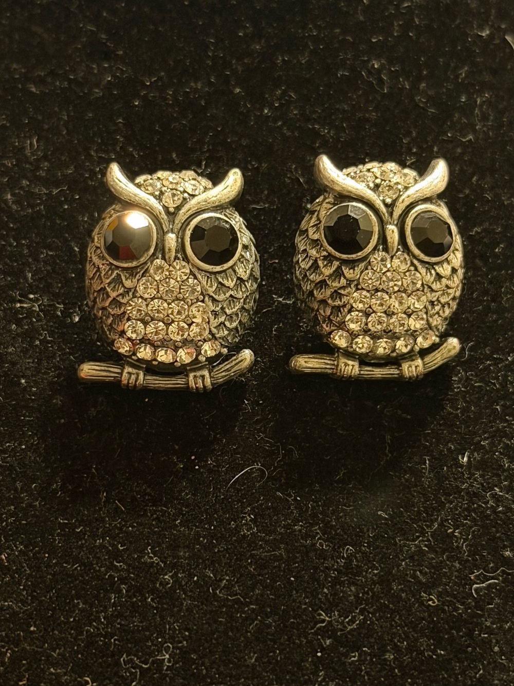 Crystal Owl Stud Earrings - Silver Tone with Black Eyes
